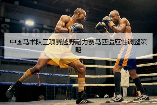中国马术队三项赛越野耐力赛马匹适应性调整策略